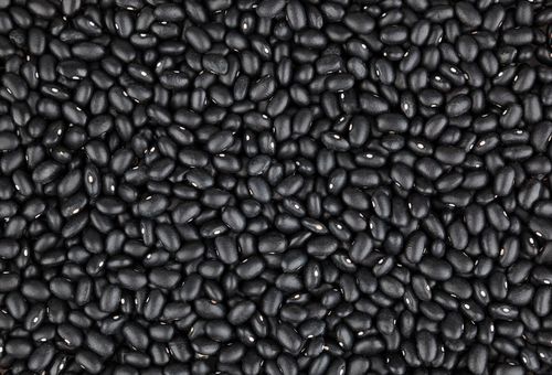Kacang Hitam - Manfaat dan Kegunaan Kesehatan nasi putih